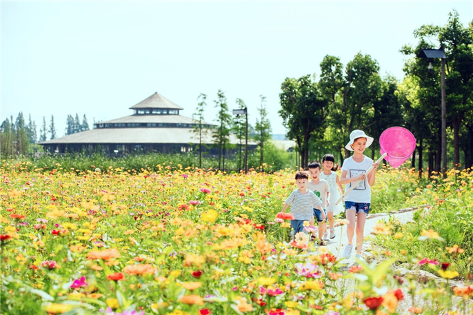 1565942514252763.jpg 微信圖片_20190816112423.jpg