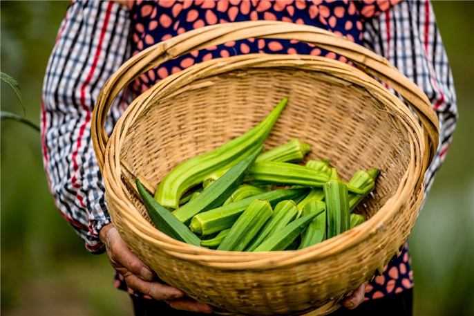 1565944006206811.jpg 微信圖片_20190816154329.jpg