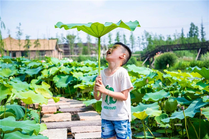 1565944040856442.jpg 微信圖片_20190816154333.jpg