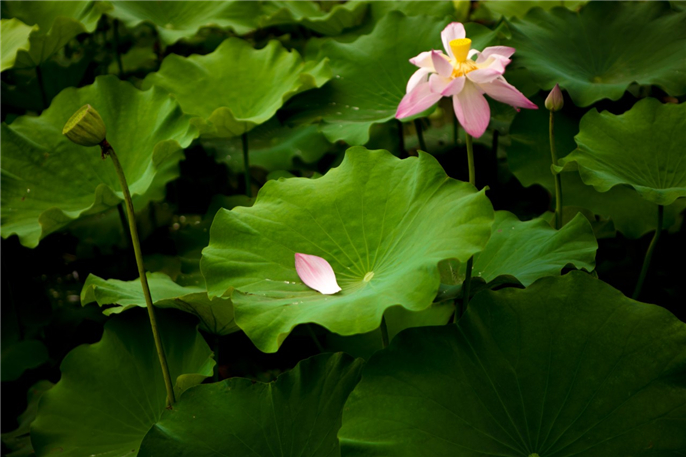 1565944055837318.jpg 微信圖片_20190816154336.jpg