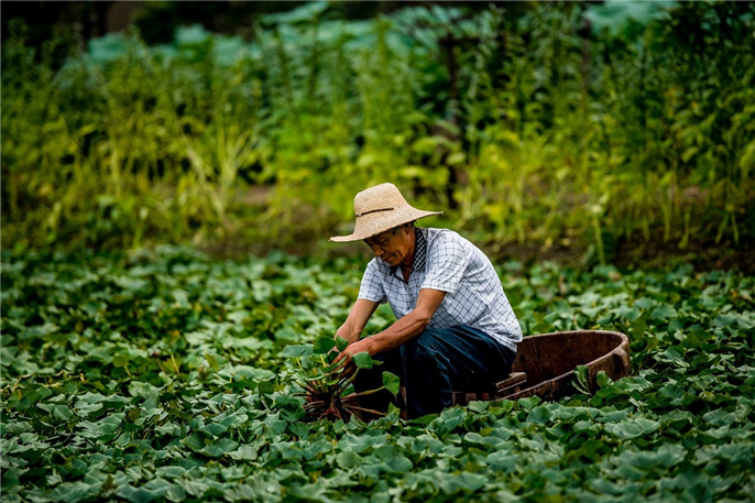 1565944072785608.jpg 微信圖片_20190816154338.jpg