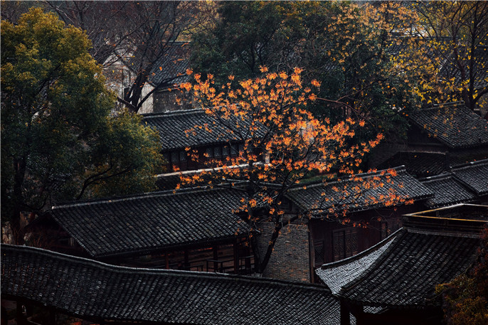 1566270593652080.jpg IS4A5503.jpg