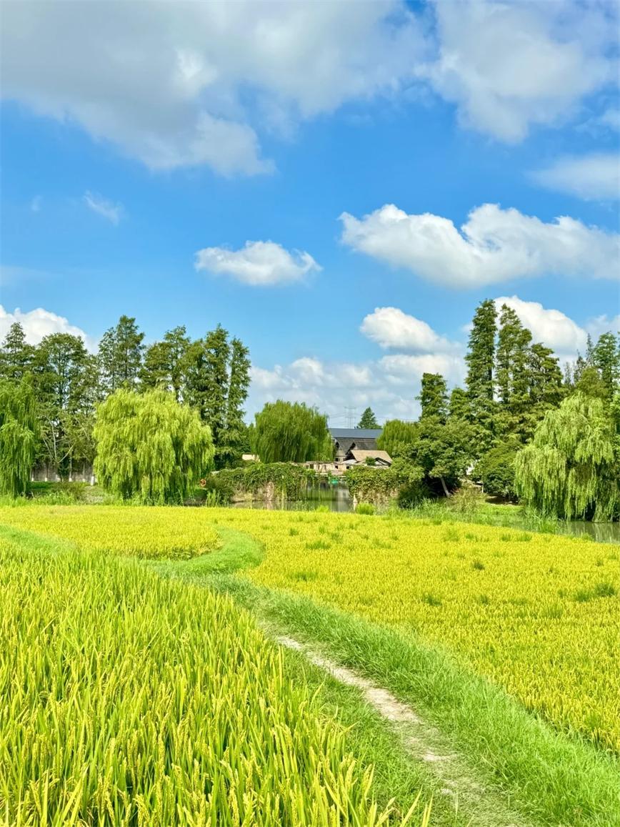 1728434970946707.jpg 秋天的烏村,堪稱秋日旅行天花板?。3_烏村Village_來自小紅書網(wǎng)頁版.jpg