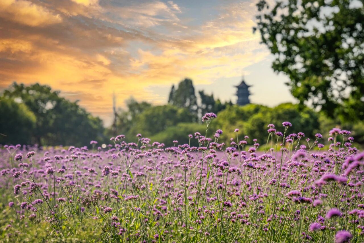 1763859161259154.jpg 2944c16422181c077b54d042e14377c6.jpg