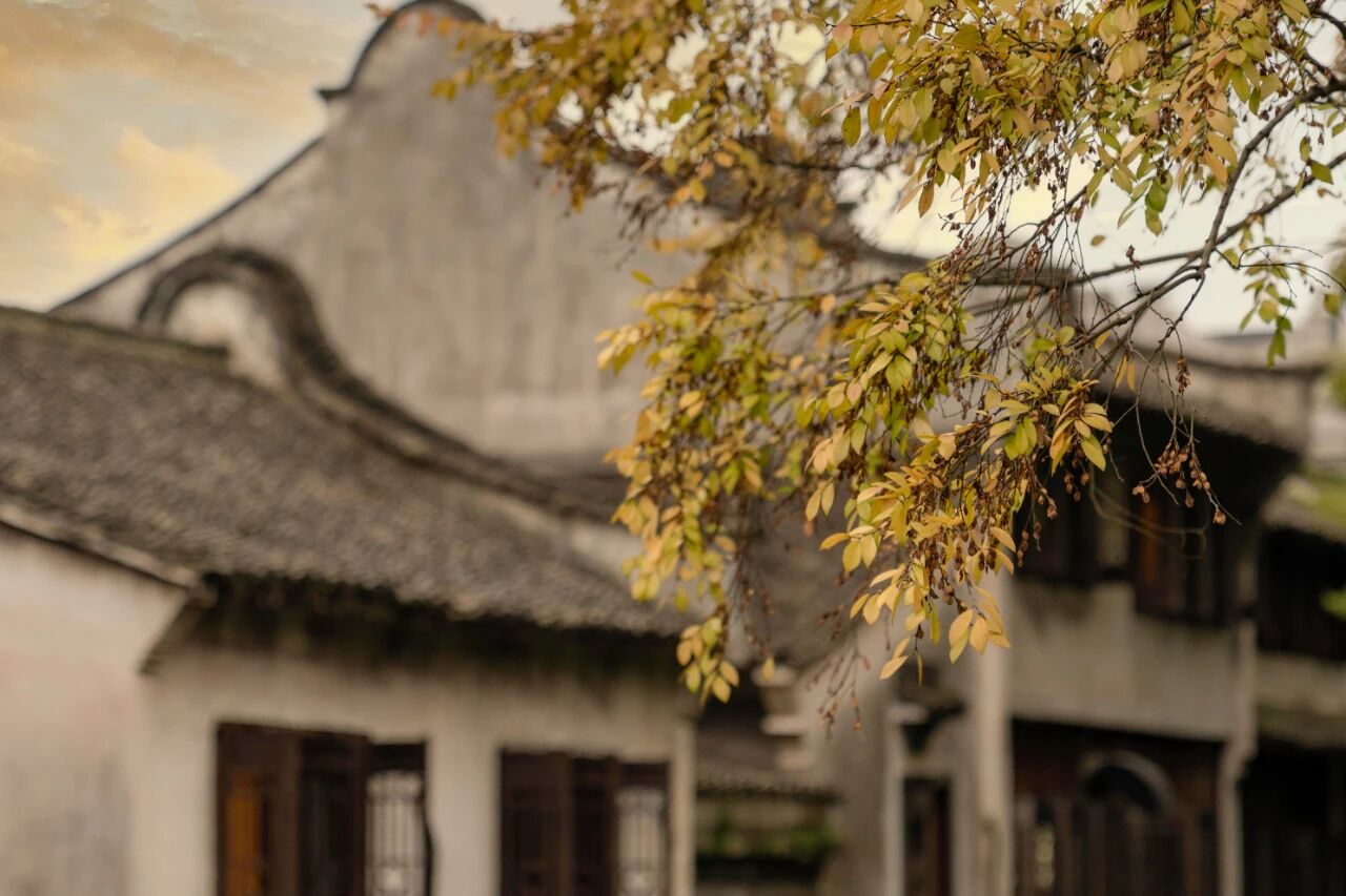 1763859357457868.jpg d579f15c68fcda5344646793901ece6c.jpg